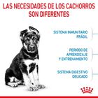 Royal Canin Puppy Maxi pienso para perros, , large image number null