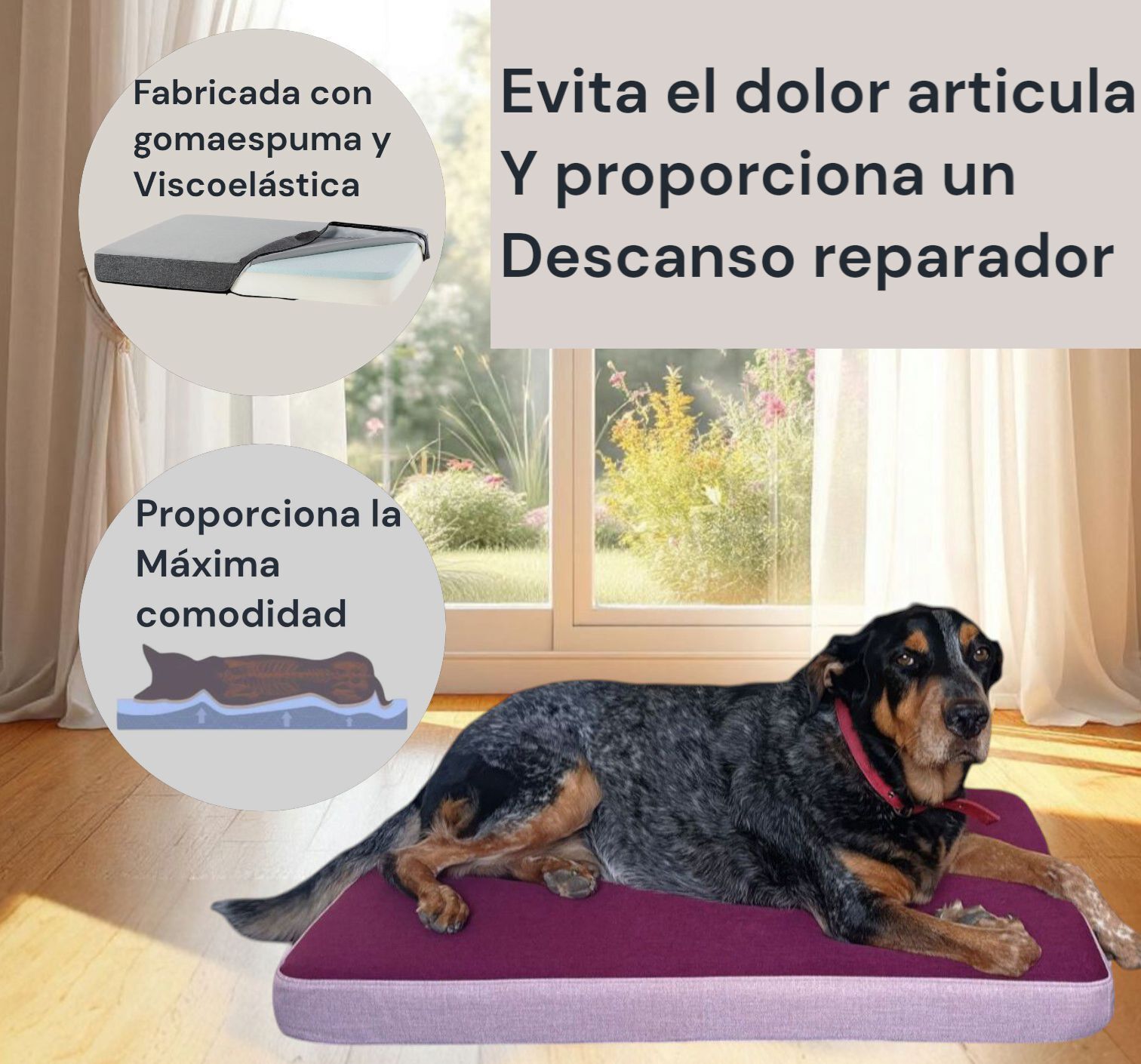 CAMA LULU ROSA Talla XL., , large Imagen numero 2