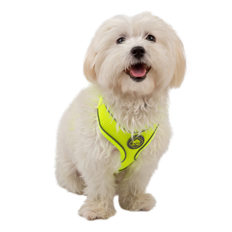 TK-Pet Soft amarillo alta visibilidad arnés perros image number null