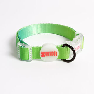XUXO Collar Verde NEON PARTY TROPICAL para perros