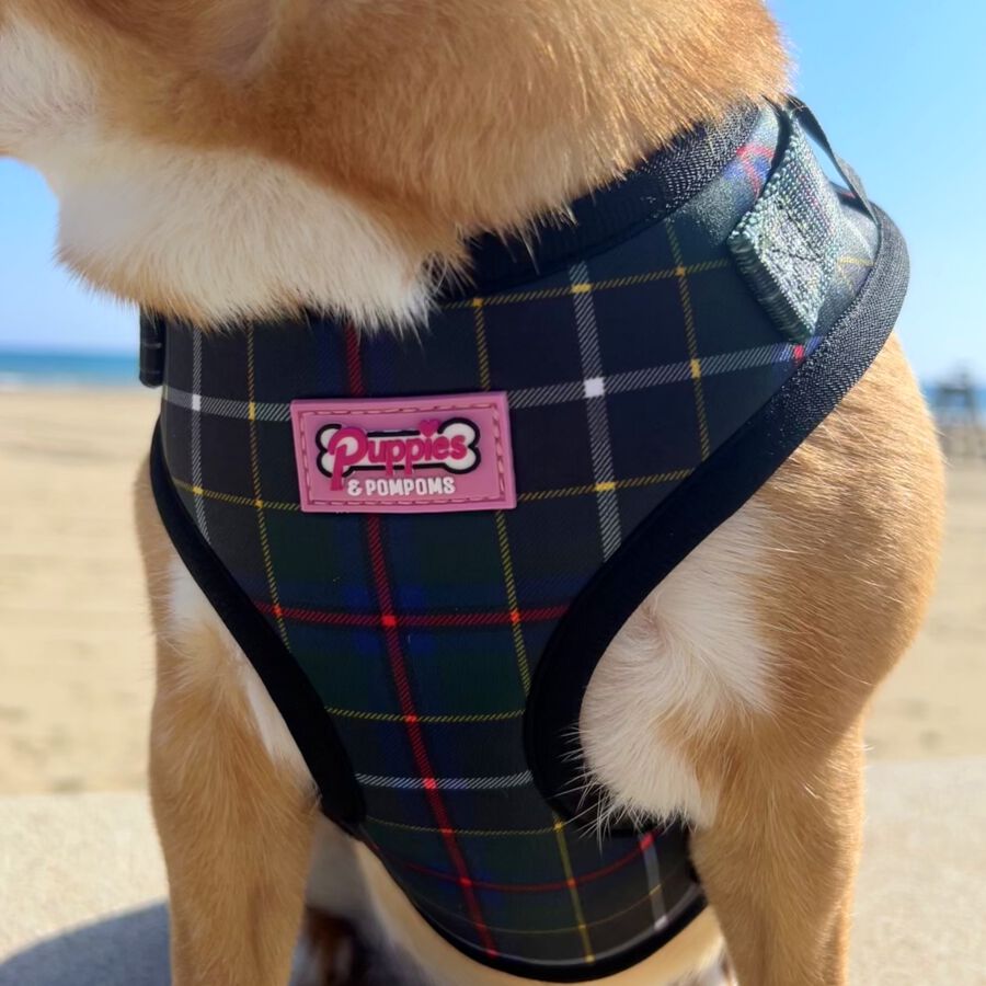 Arn&eacute;s - Tart&aacute;n de Caza de Cornualles, , large Imagen numero 5