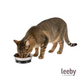 Leeby Comedero de Metal con Ventosa para gatos