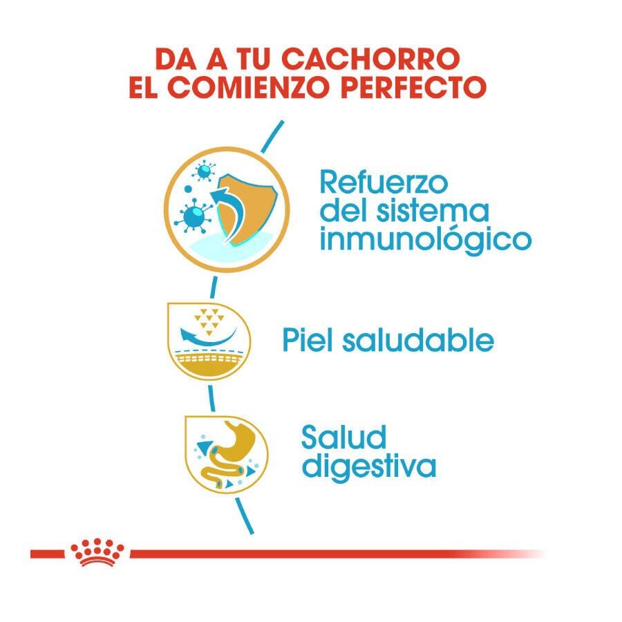 Royal Canin Puppy Pug pienso para perros thumbnail