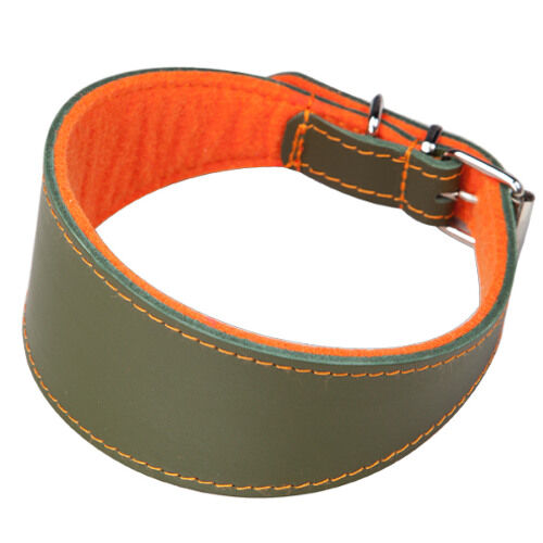 Arppe Superfelt collar para perros Imagen numero 1
