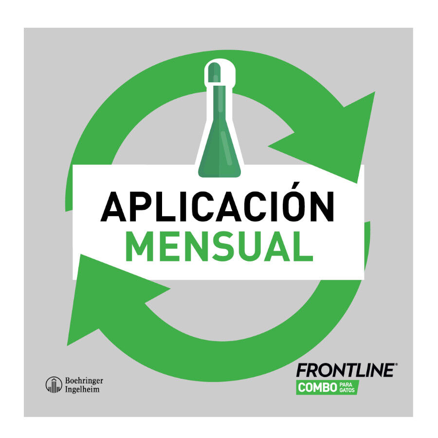 Frontline Spot On Combo Pipetas Antiparasitarias Perros 20 - 40 kg thumbnail