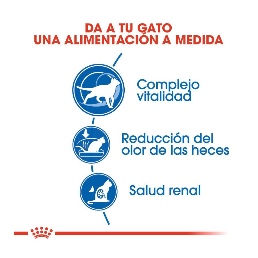 Royal Canin Home Life Indoor 7+ pienso para gatos thumbnail