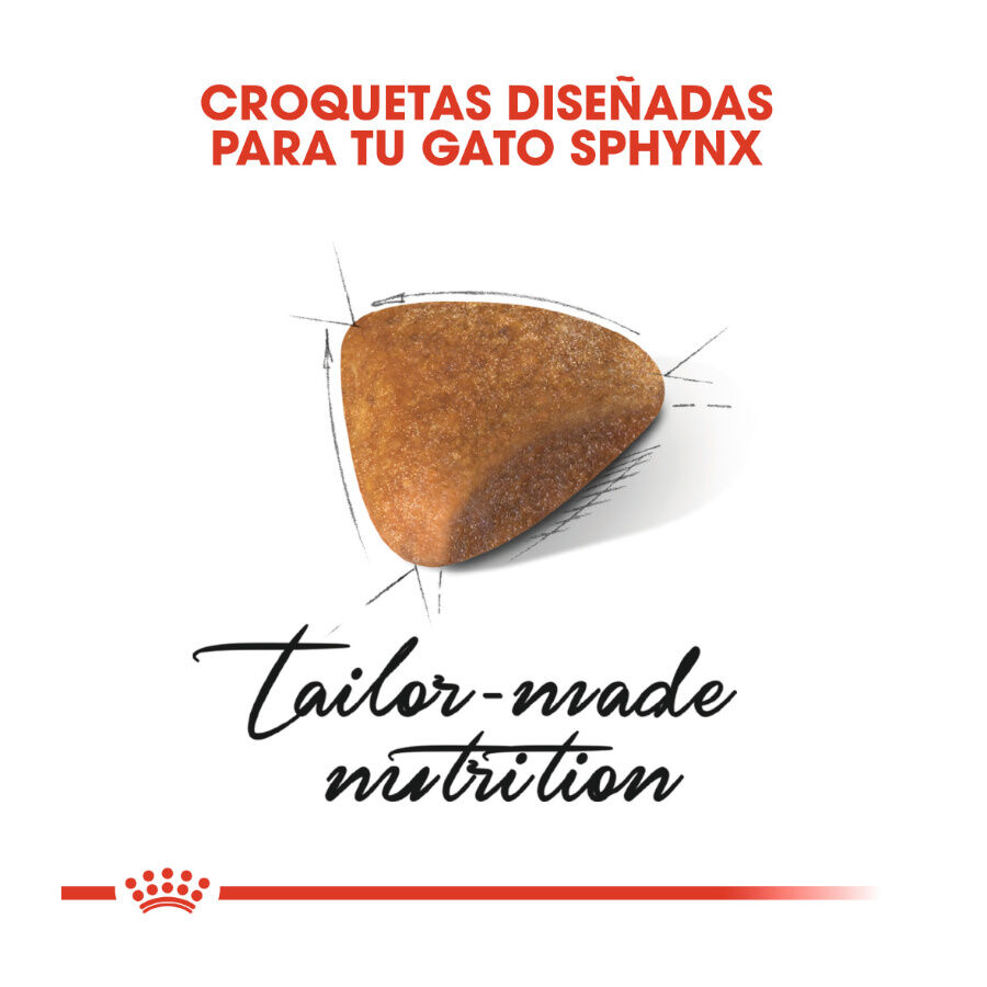 Royal Canin Adult Sphynx pienso para gatos thumbnail