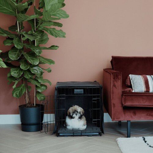 District70 Crate Jaula Plegable para perros, , large Imagen numero 10