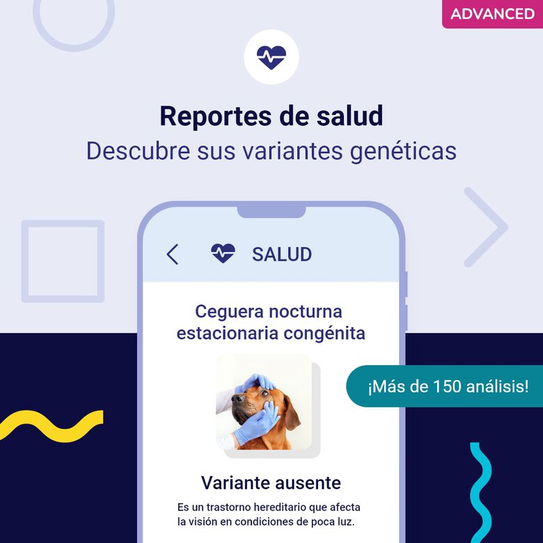 Koko Genetics Prueba De ADN Para Perros Advanced thumbnail