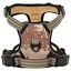 vidaXL Arnés para perros con correa y collar ajustable marrón XL, , large indicador imagen numero 9