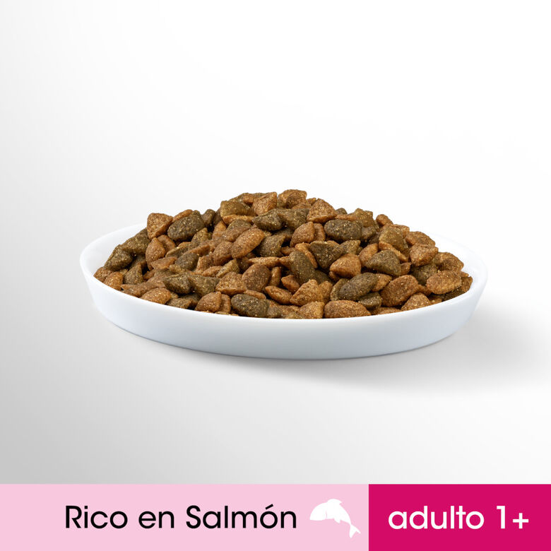 Perfect Fit Adult 1+ Esterilizado Salmón pienso para gatos thumbnail