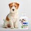 Champú Aloe Vera Dogtor 500 ml, , large indicador imagen numero 4