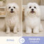Bloob Champ&uacute; Realzador Mantos Blanco Mel&oacute;n para perros, , large indicador imagen numero 4