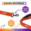 EGV - Correa corta perro 4cm ancho, asa neopreno y mosquetón reforzado. 50cm longitud. (Naranja), , large indicador imagen numero 3