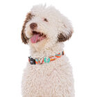 Dukier Peace collar para perros, , large image number null