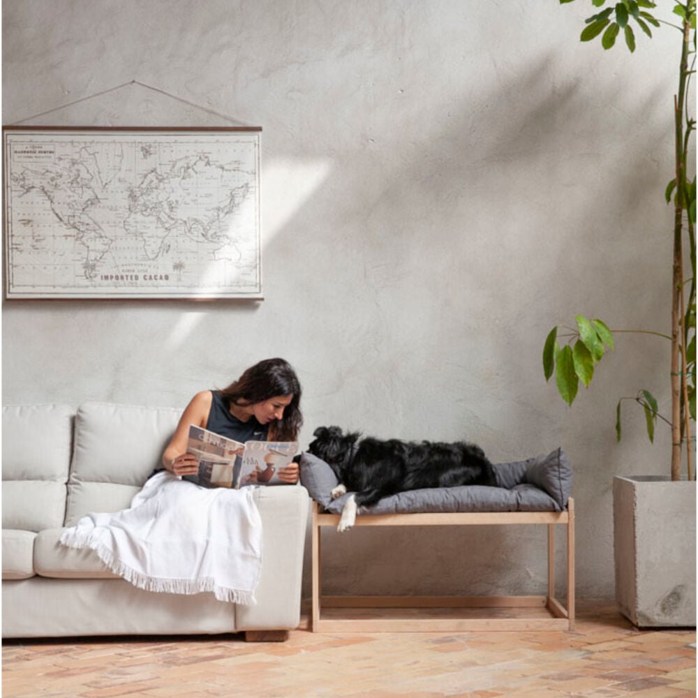 Cool Dreams Savannah cama elevada antiéstres para perros y gatos thumbnail