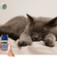 Kit vigilancia y cuidado de mascotas PRO, , large indicador imagen numero 4