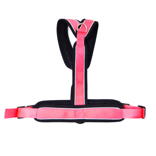 Arn&eacute;s Reflectante Anti-Tirones en Forma "Y"- Ideal para Lebreles: Galgo Italiano, Whippet, Galgo, Podenco - Seguro, Transpirable y Duradero - Perfecto para Caminar, Entrenar y Correr - ROSA, XXL, , large Imagen numero 18