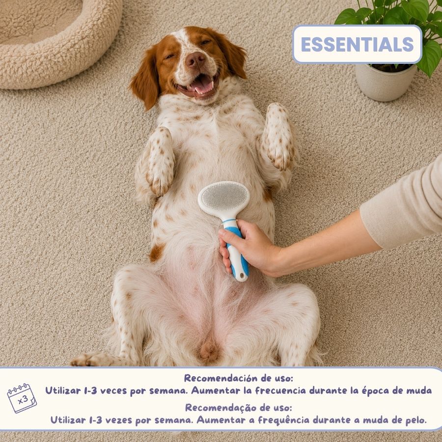 Bloob Cepillo Carda y Cerdas para perros, , large Imagen numero 8