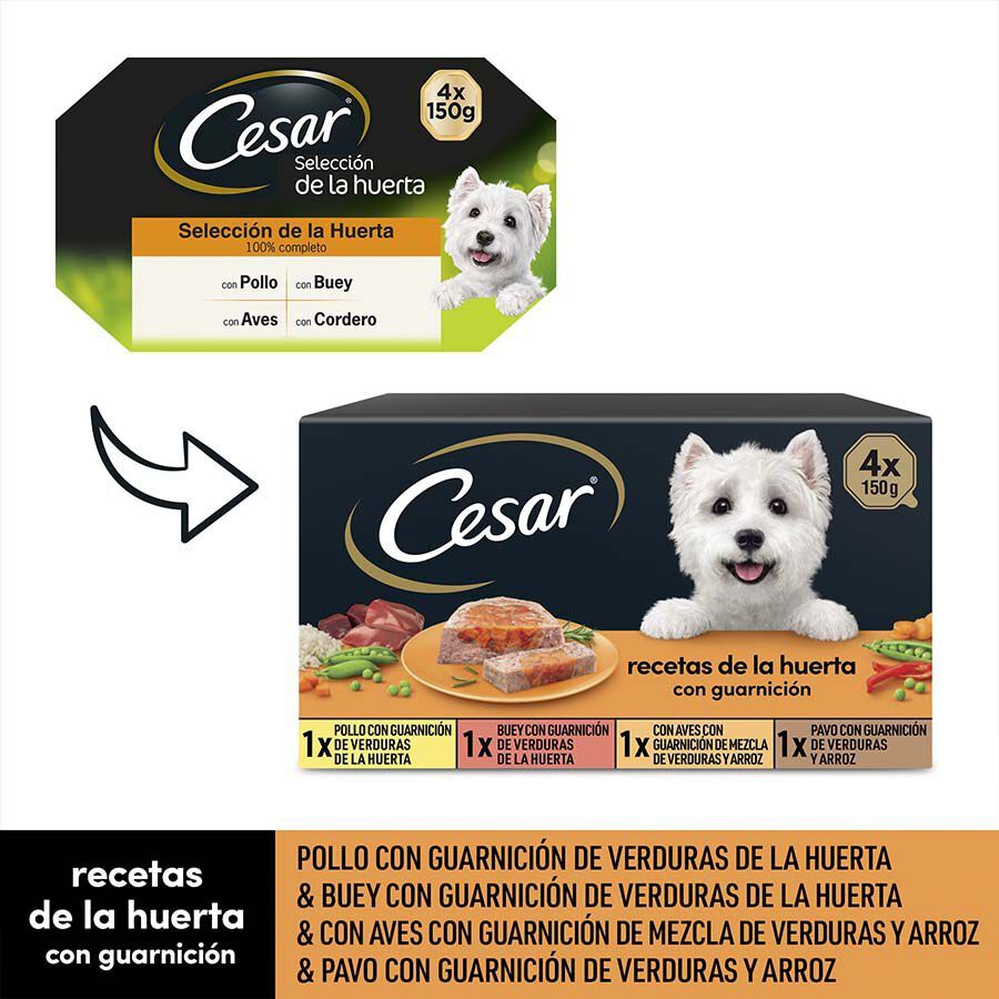 Cesar Recetas de la huerta Tarrina en Paté y Gelatina para Perros - Multipack thumbnail