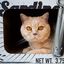 Rascador/Cueva District70 Sardine para gatos color Blanco, , large indicador imagen numero 5