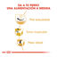 3 kg Royal Canin Adult Pug pienso para perros, , large indicador imagen numero 6