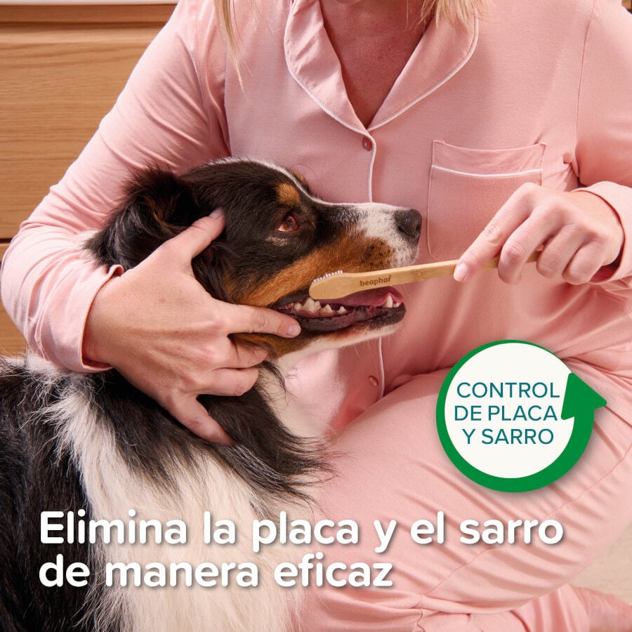 Beaphar Cepillo Dental de Bambú para Perros y Gatos thumbnail