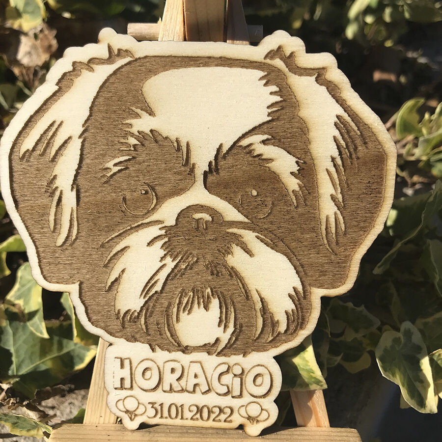 Imanes pet friendly color madera, , large Imagen numero 2