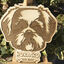 Imanes pet friendly color madera, , large indicador imagen numero 2