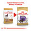 12 kg Royal Canin Adult Labrador Sterilised pienso para perros , , large indicador imagen numero 3