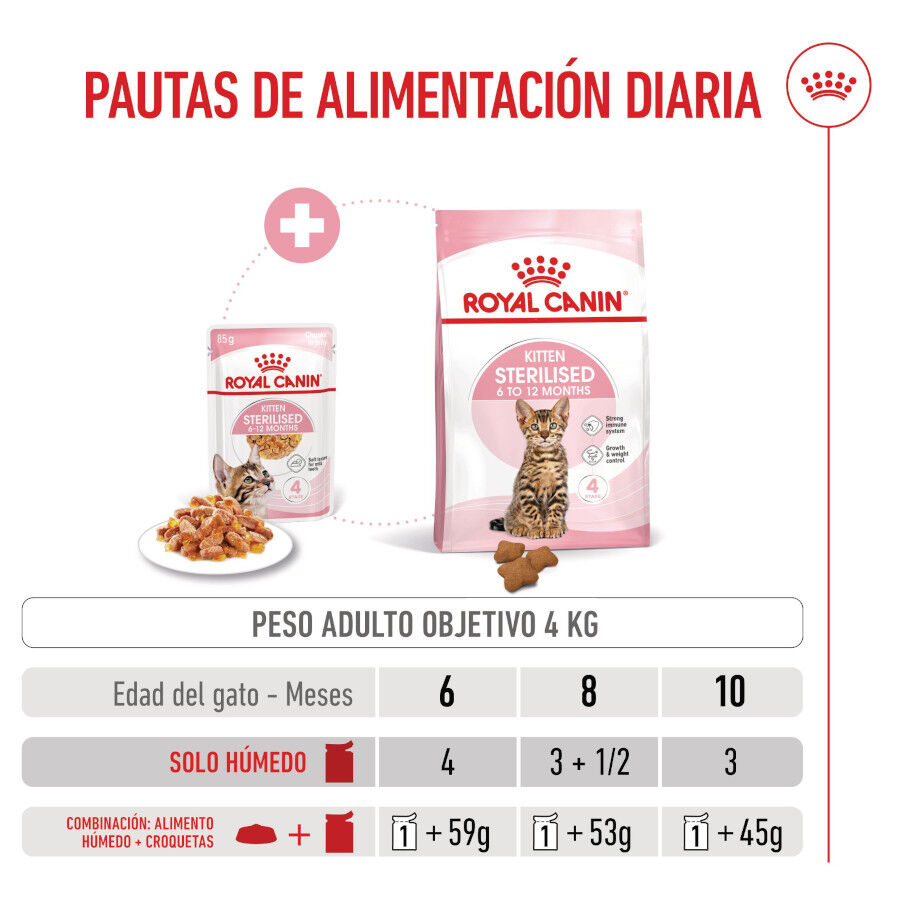 Royal Canin Kitten Sterilised gelatina para gatos thumbnail