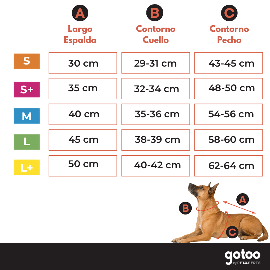 Gotoo Chaqueta Estampado ZigZag para perros, , large Imagen numero 5