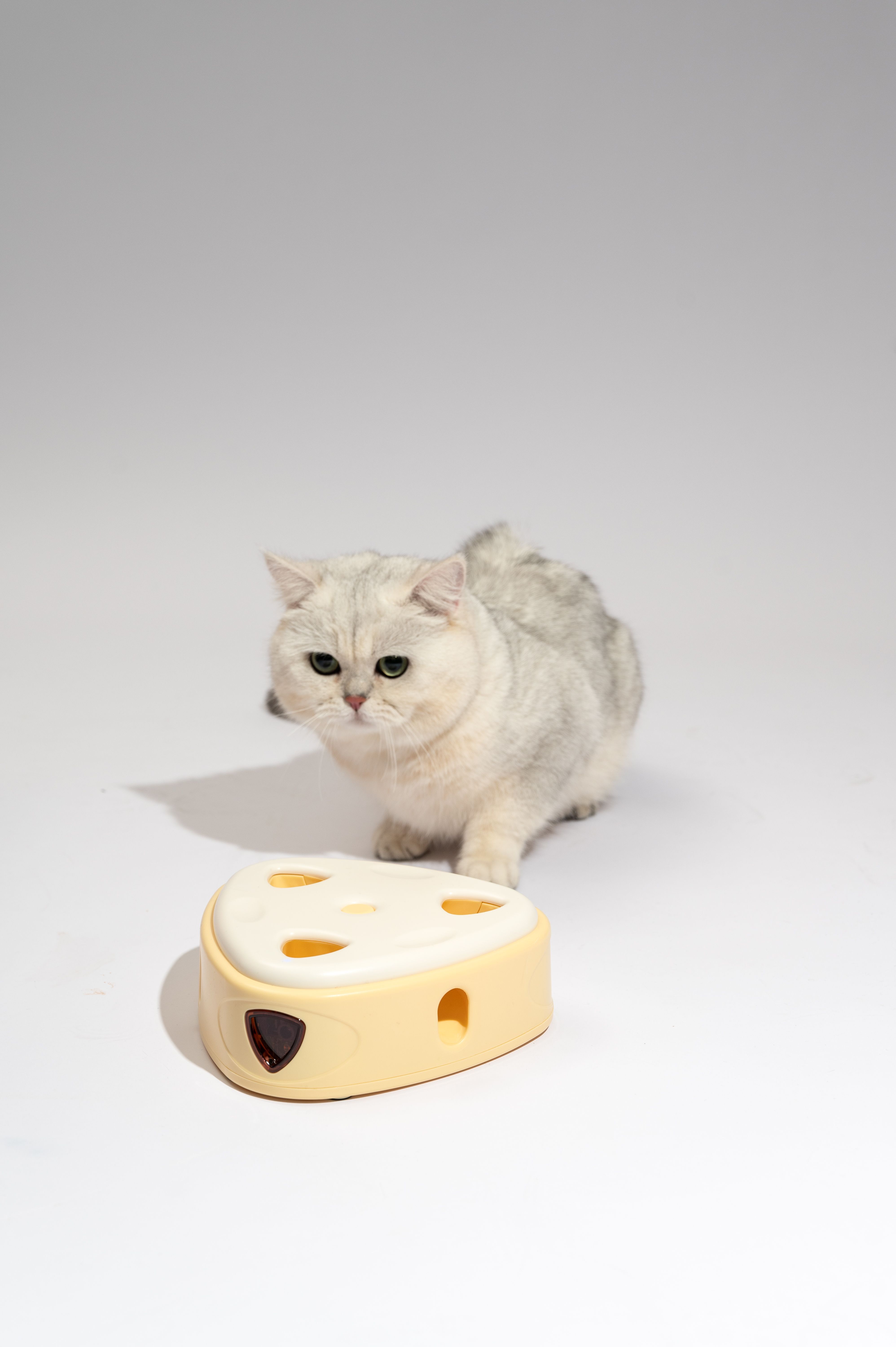 Juguete Interactivo Caja De Queso FOFOS, , large Imagen numero 2