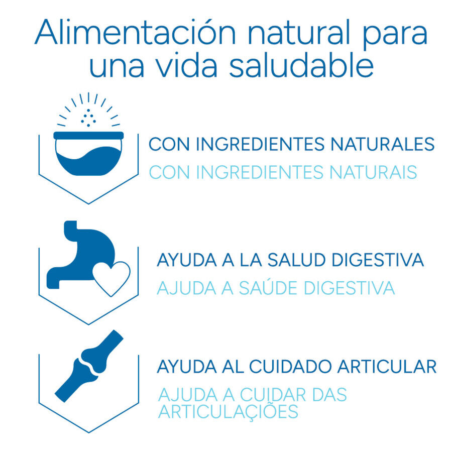 Criadores Cient&iacute;fico Adulto Medium Pienso Pollo para perros, , large Imagen numero 6