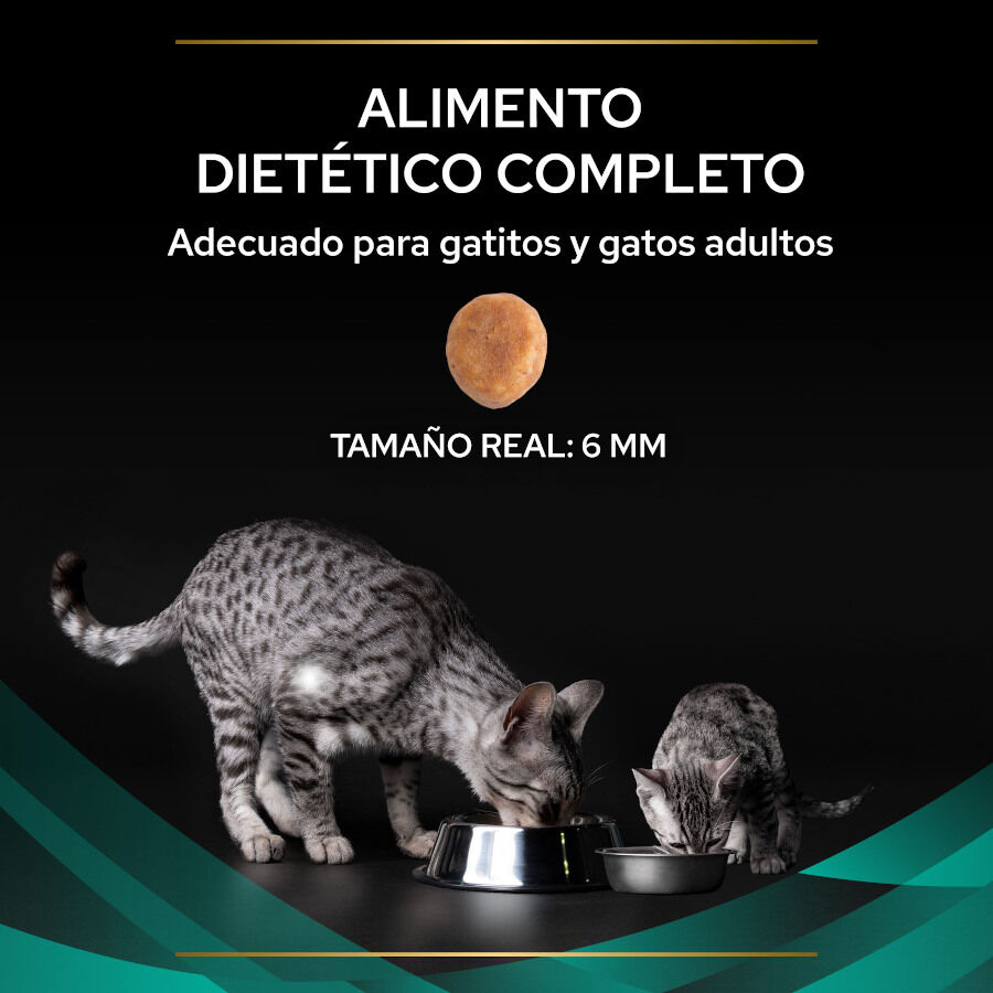 400 g Pro Plan Veterinary Diets EN Gastrointestinal pienso para gatos, , large Imagen numero 3