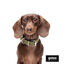 Gotoo Collar Biothane verde oliva para perros, , large indicador imagen numero 4