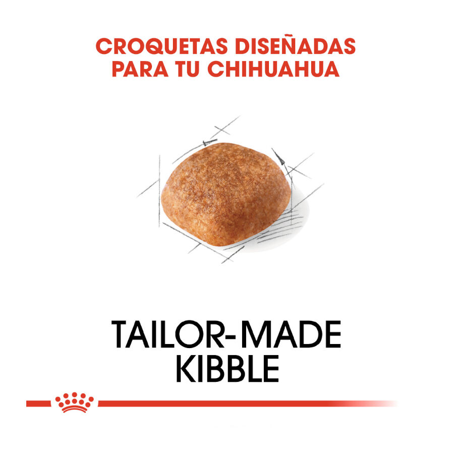 Royal Canin Adult Chihuahua pienso para perros thumbnail