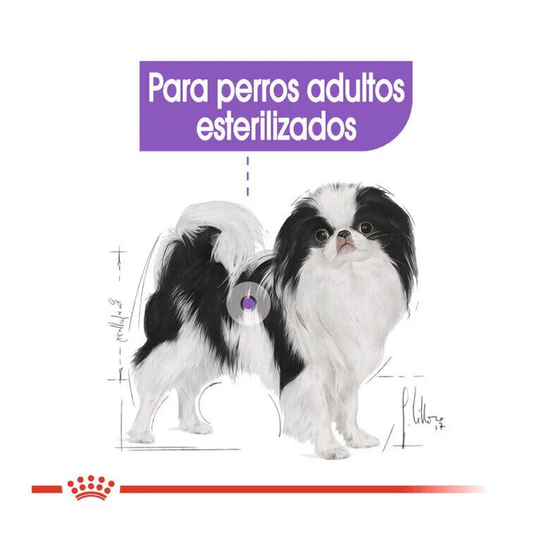 Royal Canin X-Small Sterilised pienso para perros thumbnail
