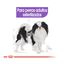 Royal Canin X-Small Sterilised pienso para perros, , large indicador imagen numero 5