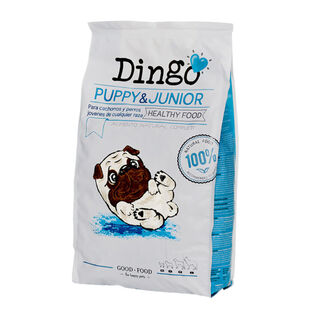Dingo Puppy y Junior pienso para cachorros