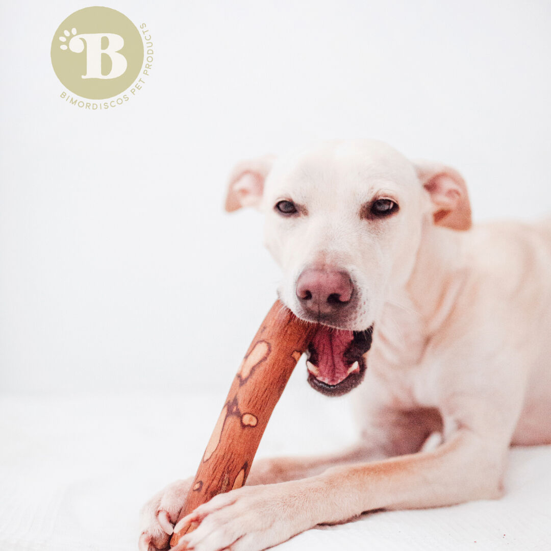 BIMORDISCOS Madera de olivo con Aceite de Salm&oacute;n para perros Pack 2 x L, , large Imagen numero 2