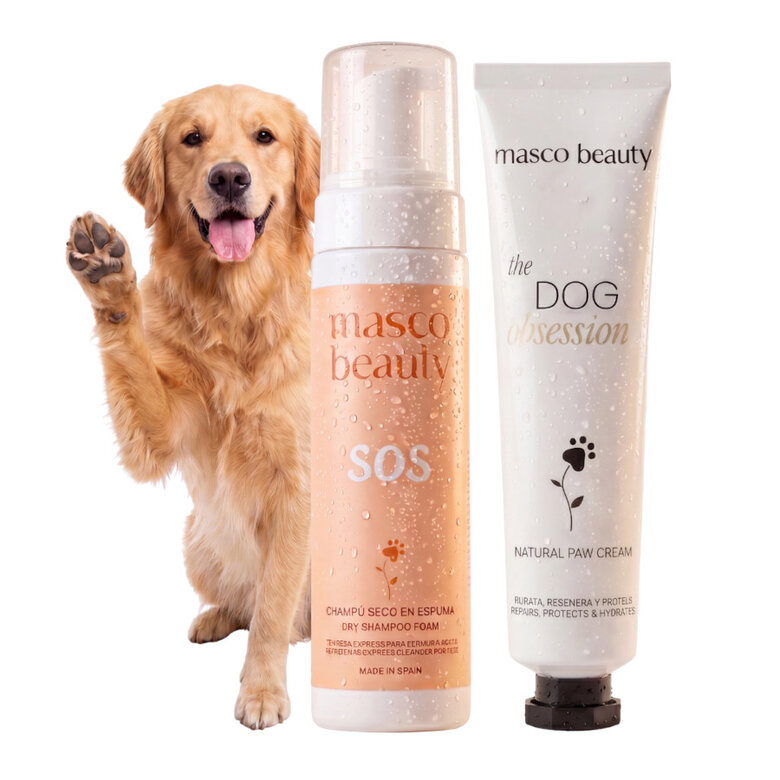 Kit reparación almohadillas perro : tratamiento completo patas secas, grietas y protección asfalto (7 días)