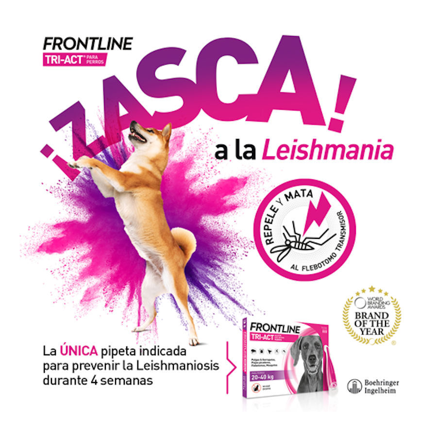 Frontline Tri-Act Pipetas Antiparasitarias para perros 5 - 10 kg, , large Imagen numero 8