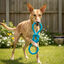 Tootoy! Mordedor Rubber Seaknot de Goma Azul para perros, , large indicador imagen numero 1