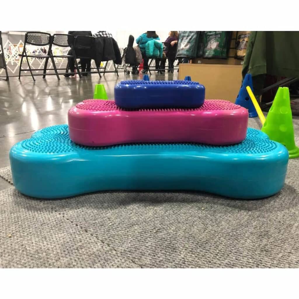 FitPAWS Plataforma equilibrio mascotas Giant K9FITbone PVC verde agua, , large Imagen numero 3