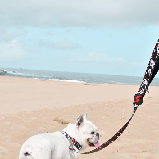 Collar betty boop classy color Negro, , large Imagen numero 5