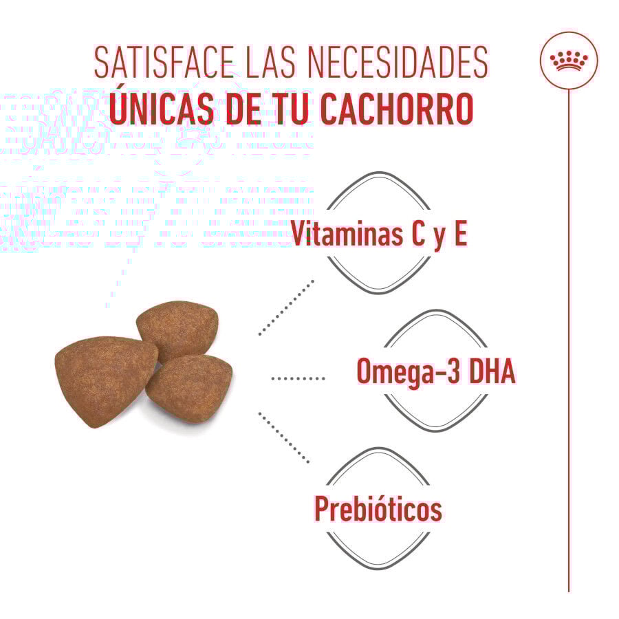 Royal Canin Mini Puppy pienso para perros thumbnail