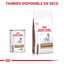 Royal Canin Gastrointestinal High Fibre Paté Lata para perros, , large indicador imagen numero 7