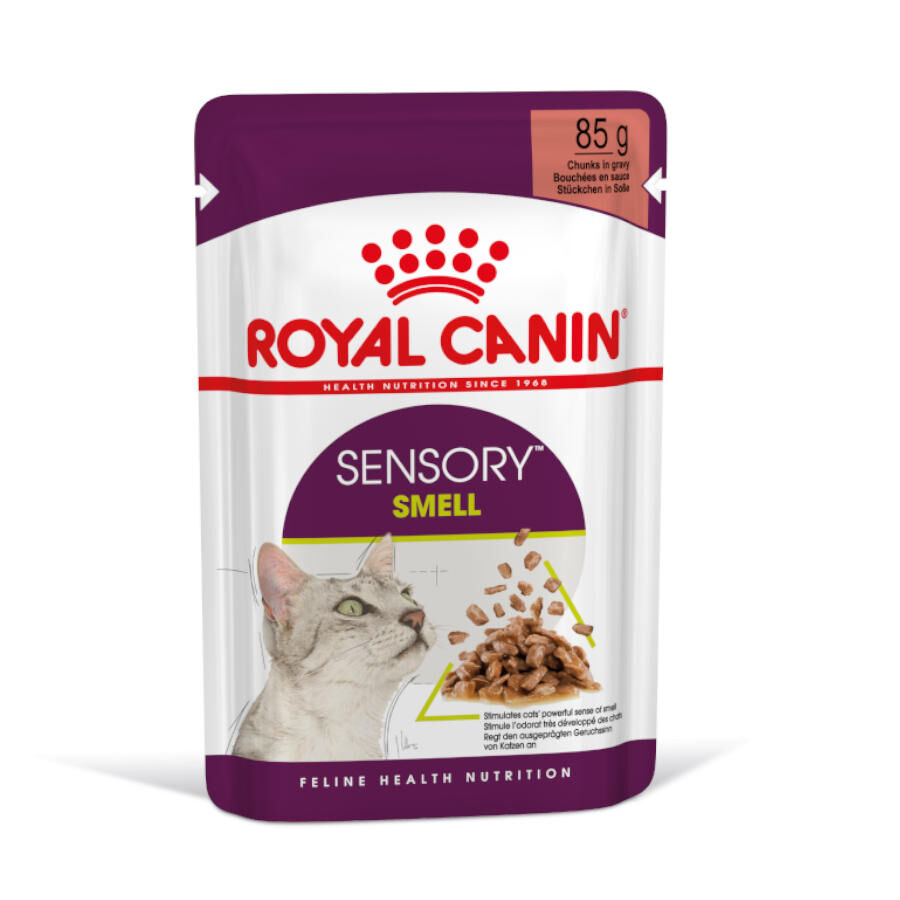 Royal Canin Adult Sensory Smell salsa sobre para gatos thumbnail