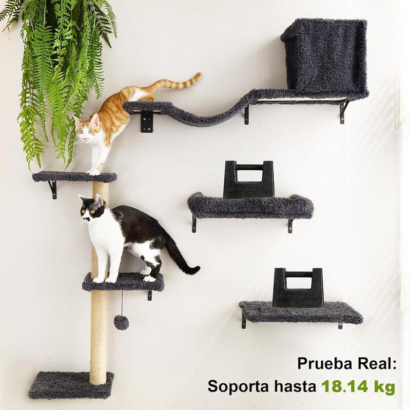 Fukumaru Set de Muebles de Pared para Gatos con Puente y Rascador &ndash; Gimnasio de Escalada Completo, Madera Maciza, Ahorro de Espacio, Alta Resistencia, , large Imagen numero 4